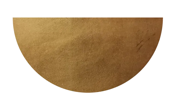 logo Esprit de grâce
