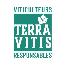 logo terra vitis